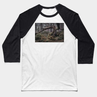 'Split Tree, Autumn', Blackwood of Rannoch, near Kinloch Rannoch. Baseball T-Shirt